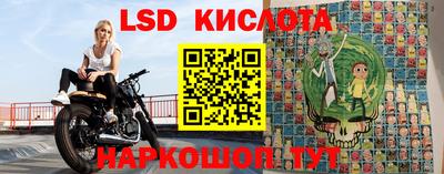 spice Кунгур