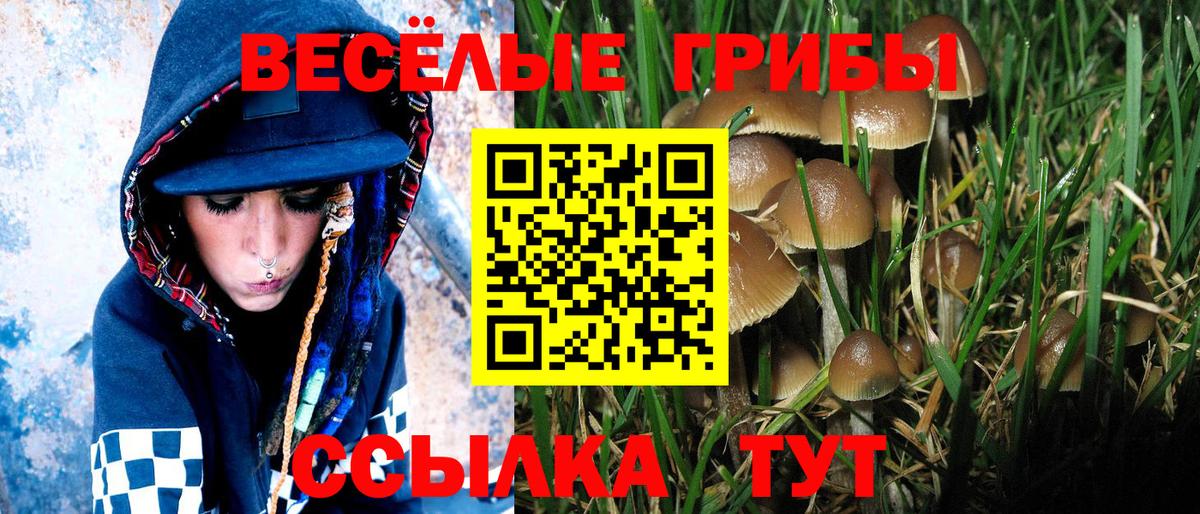 Псилоцибиновые грибы ЛСД Когалым