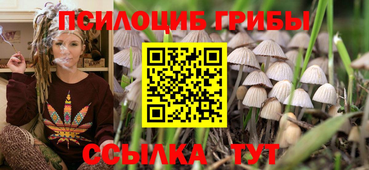 Когалым  Галлюциногенные грибы мицелий  Вход с VPN 