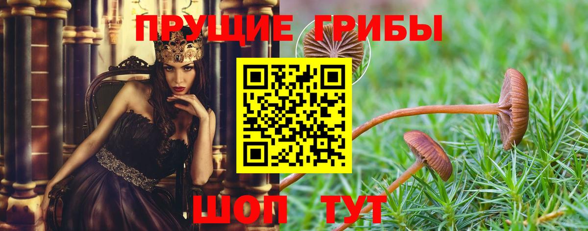МЕФ Когалым